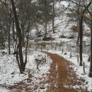 관산시장길 이미지