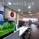 플렉스스튜디오 이미지
