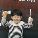 석사 비호태권도장 이미지