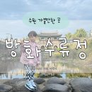 용연공원 | 수원 행궁동 방화수류정 용연 가을 억새 단풍 주차