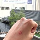 동탄5동 주민센터 | 담담한 일상 May 2. 투표합시다-(+사전투표 정보)