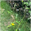 모두두모 이미지