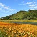 황룡강변 이미지