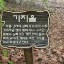 사충서원 및 묘정비 이미지