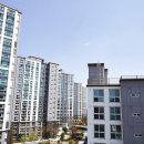 뉴안성맞춤공인중개사사무소 | 대구 테라스 상가 임대 I 율암동 안심 뉴타운 신축 첫 입주 비즈니스 사무실 추천