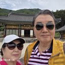 진전사 - 1374 | 진전사