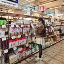 정선 공설운동장 | 강원도 정선 여행 코스 아리랑 사장 놀거리 볼거리 카페 추천