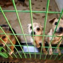 김원일농장 이미지