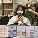 쁘띠살롱 | 미사역 크레이머 쁘띠 헤어살롱 애쉬브라운염색 솔직후기