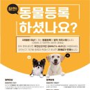 가온로 이미지