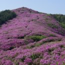 제9차 5월 15일 장수 봉화산 정기산행. 이미지