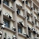 캐리커쳐 도전하기 이미지