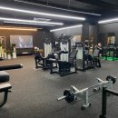 멸치탈출연구소 이미지