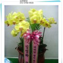 하동1길 이미지