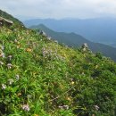 무주화원 이미지