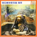 제주테디베어뮤지엄 | 제주 테디베어 뮤지엄 후기 나만의 곰돌이 만들기 체험