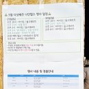 용인 나인힐스 캠핑장 온수 수영장 각종 이벤트 놀거리 장단점 후기