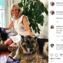 도날드 도그(Dog) 이미지