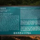 천년광장 Daum카페
