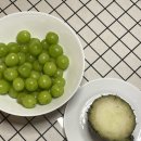 뉴욕카라반 이미지