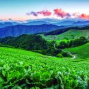 초록빛 태양광발전소 이미지