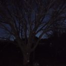 금강파출소 이미지