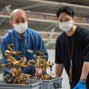 벽봉한국장신구박물관 이미지