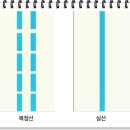 버스전용차로(1) 이미지
