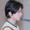 티라미스 이미지