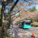 펫홀릭더라이프 이미지