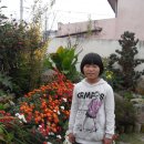 예닮이네 이미지