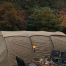 내안의숲 이미지