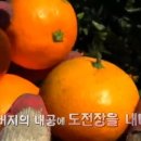김평진농장 라이브엔