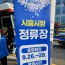 얌부 | 2025 시흥갯골축제 첫 날 후기