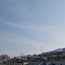 중랑천 | 중랑천 파크골프장 봄 라운딩 후기 – 산수유와 개나리 속 건강한 하루