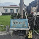 제주마중 판포 이미지