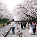 경화역 공원 1 네이버블로그