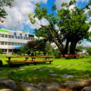 곡성군보건의료원 이미지