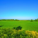 동훈나이스 이미지