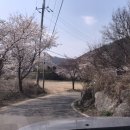 꿈에그린 민박 이미지