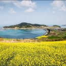 청춘어람 - 12874 | 청춘어람