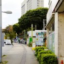 일본 오키나와 나하 국제거리 하얏트 리젠시 호텔 클럽룸 투숙 후기