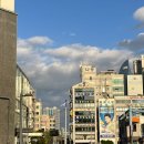 마라도회초장집 | 부산 수영 민락동 광안다찌 : 광안리 수변공원 회센터 해산물 다찌한상 ! 광안대교 바다뷰 코스요리 횟집