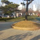 주식회사 트럭인 이미지