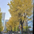 관호 광화문점 이미지