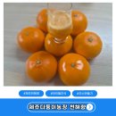 제주농장 | 아이들간식 제주천혜향 새콤달콤 주스만들기 제주다둥이농장 후기