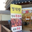정력왕 쭈꾸미