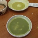 나무 밑 고양이 이미지