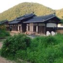 솔밭 1994 Daum카페