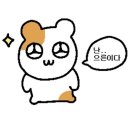 김사부양꼬치 이미지